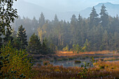  October morning in Nicklheimer Filz, Bavarian Alps, Upper Bavaria, Bavaria, Germany 