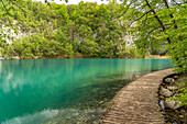 Weg auf Holzstegen im Nationalpark Plitvicer Seen, Kroatien, Europa