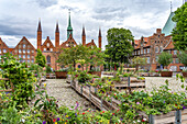 Blumenkästen am Geibelplatz und Heiligen-Geist-Hospital in der Hansestadt Lübeck, Schleswig-Holstein, Deutschland 