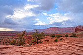  View from Panorama Point, Capitol Reef National Park, Utah, USA, United States 