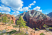  View from the West Rim Trail to the Narrows, Zion National Park, Utah, USA, United States 