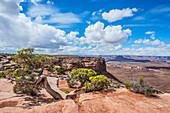  View from Orange Cliffs Overlook, Canyonlands National Park, Moab, Utah, USA, United States 