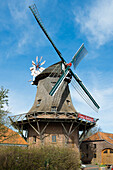 Historische Windmühle, Schlachtmühle, zweistöckiger Galerieholländer mit Windrose, Jever, Ostfriesland, Niedersachsen, Deutschland