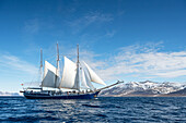 Rembrandt van Rijn unter Segeln in arktischen Gewässern, Isfjord, Spitzbergen, Svalbard, Norwegen, Arktis