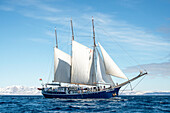  Rembrandt van Rijn sailing in arctic waters, Isfjord, Spitsbergen, Svalbard, Norway, Arctic 