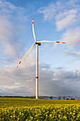 Blick auf ein Vestas Windrad und PV Fläche umgeben von einem Rapsfeld, Ostholstein, Schleswig-Holstein, Deutschland