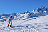 Frau auf Skitour steigt zum Schwebenkopf auf, Schwebenkopf, Kelchsau, Kitzbüheler Alpen, Tirol, Österreich