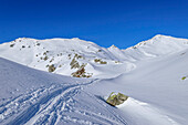  Ski touring track moving towards Schwebenkopf, Schwebenkopf, Kelchsau, Kitzbühel Alps, Tyrol, Austria 