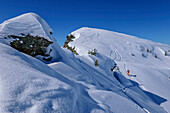 Frau auf Skitour steigt zur Speikspitze auf, Speikspitze, Kitzbüheler Alpen, Tirol, Österreich