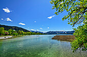 Tegernsee mit Bayerischen Alpen im Hintergrund, Gmund, Bodensee-Königssee-Radweg, Oberbayern, Bayern, Deutschland