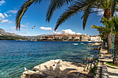 Aussicht auf Altstadt und Hafen von Korcula, Kroatien, Europa