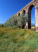   Aqueduct of Guamo  