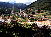 Santandrea di compito borgo delle camelie, Dorf bei Lucca, Toskana