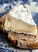 Camembert