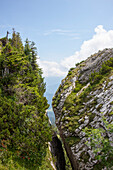 Felsspalte beim Latschenkopf, Brauneck, bei Lenggries, Oberbayern, Bayern, Deutschland