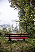  a red bench with a view of the mountains and forests, solitude, peace, nature 