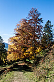  Sonnenberg, Upper Bavaria, mountains, meadows, autumn, relaxation, peace, 