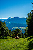  Landscape South Tyrol, mountains, meadows, flowers, peace, blue sky 