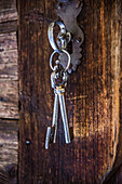  Wooden door with old keys, keyring, South Tyrol 