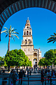  Cordoba, courtyard of the Mesquita with bell tower, Cordoba Province, Spain 