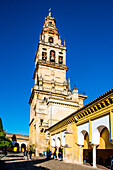 Glockenturm der Kathedrale, im Innenhof der Mezquita, im Jüdischen Viertel Juderia, Cordoba, Provinz Cordoba, Andalusien, Spanien