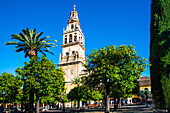 Glockenturm der Kathedrale, im Innenhof der Mezquita, in der Juderia, Jüdisches Viertel, Cordoba, Provinz Cordoba, Andalusien, Spanien