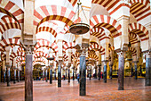  Cordoba, Mezquita, 179 x 134 meters, with 856 columns made of jaspice, marble, onyx, porphyry, connected by red and white horseshoe arches, completed by the Moors in 796, Cordoba province, Spain 