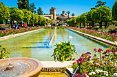 Blumenbeete in den Gartenanlagen und Wasserspiele, Königspalast Alcazar de los Reyes Cristianos, Cordoba, Provinz Cordoba, Andalusien, Spanien