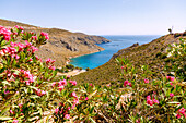 Bucht von Akti (Akti-Bucht, Ormos Akti) mit Strand und Taverne auf der Insel Kalymnos (Kalimnos) in Griechenland