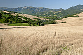  Camps near the San Ginesio 