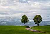  View from the Auerberg over the foggy Allgäu, Bavaria, Germany 