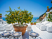 Zitronenbaum und Cafe, Positano, Amalfiküste, Salerno, Kampanien, Süditalien, Italien, Europa, Mittelmeer