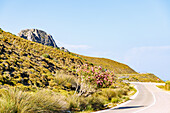  Coastal road to the thermal springs of Embros Thermes on the island of Kos in Greece 