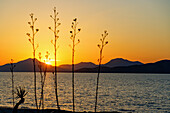 Sonnenuntergang hinter der türkischen Küste bei Tigaki (Tingaki) auf der Insel Kos in Griechenland