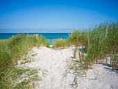  On the western beach of Darß, Ahrenshoop, Prerow, Baltic Sea, Fischland, Darß, Zingst, Vorpommern-Rügen district, Mecklenburg-Vorpommern, Western Pomerania region, Germany, Europe 