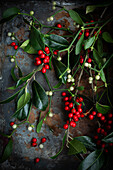  Holly and mistletoe on metallic background 