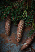  Norway spruce cones with needles on metallic background 