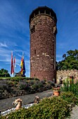 Burg Trendelburg, Rapunzelturm, Trendelburg, Landkreis Kassel, Hessen, Deutschland