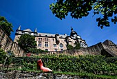 Grimm-Dich-Pfad Marburg, Motiv Aschenputtel, im Hintergrund das Landgrafenschloss, Marburg, Hessen, Deutschland