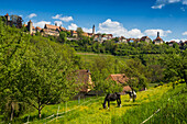  Medieval town, Rothenburg ob der Tauber, Tauber, Romantic Road, Franconia, Bavaria, Germany 