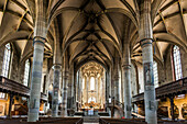  Interior view, Gothic vault, St. Michael&#39;s Church, Schwäbisch Hall, Old Town, Kochertal, Kocher, Hohenlohe, Franconia, Baden-Württemberg, Germany 