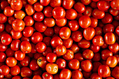 Pune, India, Tomatoes, red