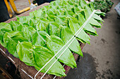 Pune, India, Beetle leaf for eating a digestive called Paan