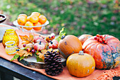 The Netherlands, Pumpkins, Thanksgiving, Autumn, Pine cones, Orange