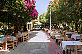  Restaurant street Odos Nafklirou with taverns and tables under oleander trees at the ruins of the Agora in Kos Town on the island of Kos in Greece 