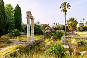  ancient columns and building remains on the ruins of the ancient Agora in Kos Town on the island of Kos in Greece 