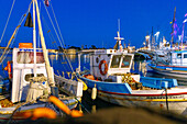 Hafen mit Johanniterkastell Neratzia und Fischerbooten in Kos-Stadt auf der Insel Kos in Griechenland