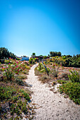  Sandy footpath to a small restaurant on Mastichari beach on Kos island, Mastichari, Kos, Greece 