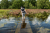 Man walking over a flooded boardwalk in the Mastbos, a small forest located on the edge of Breda, the Netherlands.