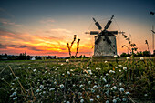 Windmühle in Tés, Balaton, Ungarn, Europa